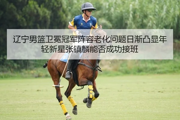 辽宁男篮卫冕冠军阵容老化问题日渐凸显年轻新星张镇麟能否成功接班